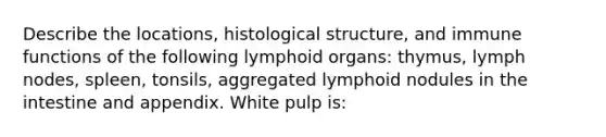 Describe the locations, histological structure, and immune functions of the following lymphoid organs: thymus, lymph nodes, spleen, tonsils, aggregated lymphoid nodules in the intestine and appendix. White pulp is: