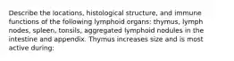 Describe the locations, histological structure, and immune functions of the following lymphoid organs: thymus, lymph nodes, spleen, tonsils, aggregated lymphoid nodules in the intestine and appendix. Thymus increases size and is most active during: