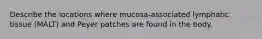 Describe the locations where mucosa-associated lymphatic tissue (MALT) and Peyer patches are found in the body.
