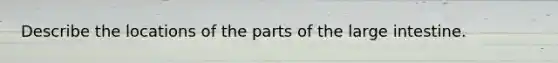 Describe the locations of the parts of the <a href='https://www.questionai.com/knowledge/kGQjby07OK-large-intestine' class='anchor-knowledge'>large intestine</a>.