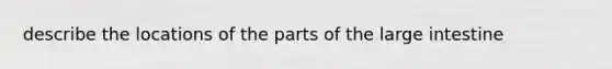 describe the locations of the parts of the <a href='https://www.questionai.com/knowledge/kGQjby07OK-large-intestine' class='anchor-knowledge'>large intestine</a>