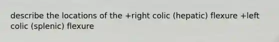 describe the locations of the +right colic (hepatic) flexure +left colic (splenic) flexure