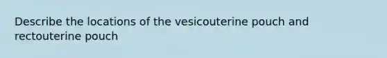 Describe the locations of the vesicouterine pouch and rectouterine pouch