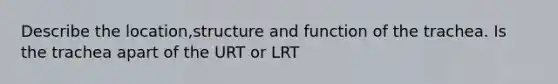 Describe the location,structure and function of the trachea. Is the trachea apart of the URT or LRT