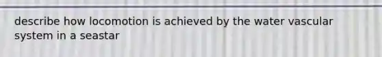 describe how locomotion is achieved by the water vascular system in a seastar