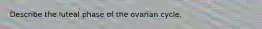 Describe the luteal phase of the ovarian cycle.