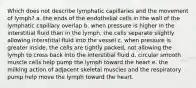 Which does not describe lymphatic capillaries and the movement of lymph? a. the ends of the endothelial cells in the wall of the lymphatic capillary overlap b. when pressure is higher in the interstitial fluid than in the lymph, the cells separate slightly allowing interstitial fluid into the vessel c. when pressure is greater inside, the cells are tightly packed, not allowing the lymph to cross back into the interstitial fluid d. circular smooth muscle cells help pump the lymph toward the heart e. the milking action of adjacent skeletal muscles and the respiratory pump help move the lymph toward the heart.