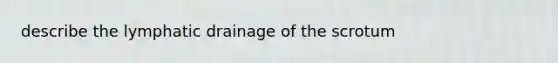 describe the lymphatic drainage of the scrotum