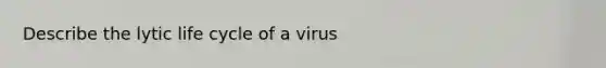 Describe the lytic life cycle of a virus