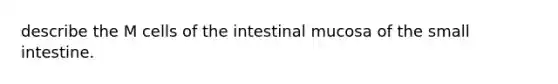 describe the M cells of the intestinal mucosa of the small intestine.