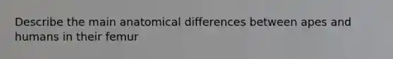 Describe the main anatomical differences between apes and humans in their femur