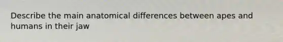 Describe the main anatomical differences between apes and humans in their jaw