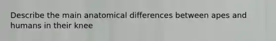 Describe the main anatomical differences between apes and humans in their knee