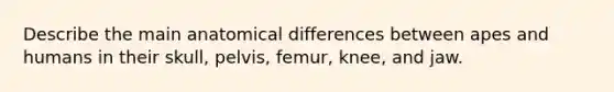 Describe the main anatomical differences between apes and humans in their skull, pelvis, femur, knee, and jaw.