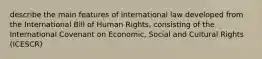 describe the main features of international law developed from the International Bill of Human Rights, consisting of the International Covenant on Economic, Social and Cultural Rights (ICESCR)