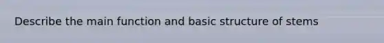 Describe the main function and basic structure of stems