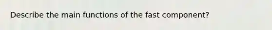 Describe the main functions of the fast component?