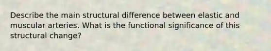 Describe the main structural difference between elastic and muscular arteries. What is the functional significance of this structural change?