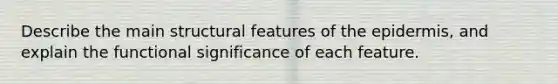 Describe the main structural features of the epidermis, and explain the functional significance of each feature.