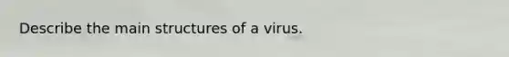 Describe the main structures of a virus.