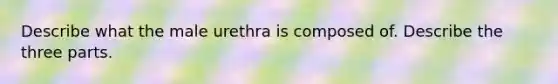 Describe what the male urethra is composed of. Describe the three parts.