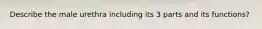 Describe the male urethra including its 3 parts and its functions?