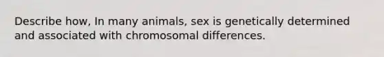 Describe how, In many animals, sex is genetically determined and associated with chromosomal differences.