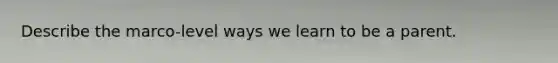 Describe the marco-level ways we learn to be a parent.
