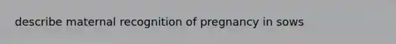 describe maternal recognition of pregnancy in sows