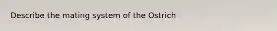 Describe the mating system of the Ostrich