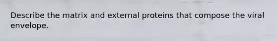 Describe the matrix and external proteins that compose the viral envelope.