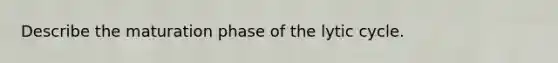 Describe the maturation phase of the lytic cycle.