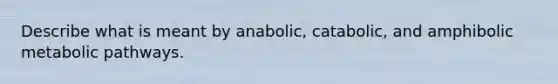 Describe what is meant by anabolic, catabolic, and amphibolic metabolic pathways.