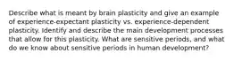 Describe what is meant by brain plasticity and give an example of experience-expectant plasticity vs. experience-dependent plasticity. Identify and describe the main development processes that allow for this plasticity. What are sensitive periods, and what do we know about sensitive periods in human development?