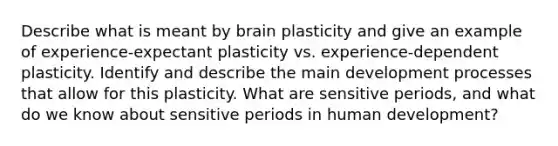 Describe what is meant by brain plasticity and give an example of experience-expectant plasticity vs. experience-dependent plasticity. Identify and describe the main development processes that allow for this plasticity. What are sensitive periods, and what do we know about sensitive periods in human development?