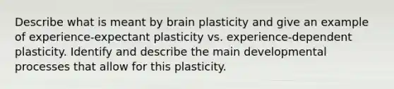 Describe what is meant by brain plasticity and give an example of experience-expectant plasticity vs. experience-dependent plasticity. Identify and describe the main developmental processes that allow for this plasticity.