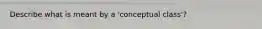 Describe what is meant by a 'conceptual class'?