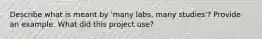 Describe what is meant by 'many labs, many studies'? Provide an example. What did this project use?