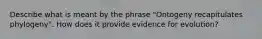 Describe what is meant by the phrase "Ontogeny recapitulates phylogeny". How does it provide evidence for evolution?