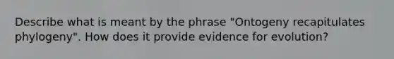 Describe what is meant by the phrase "Ontogeny recapitulates phylogeny". How does it provide evidence for evolution?