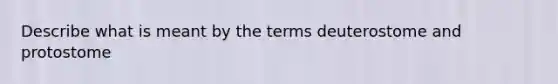 Describe what is meant by the terms deuterostome and protostome