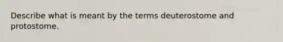 Describe what is meant by the terms deuterostome and protostome.