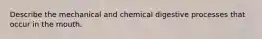 Describe the mechanical and chemical digestive processes that occur in the mouth.