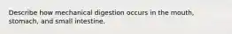 Describe how mechanical digestion occurs in the mouth, stomach, and small intestine.