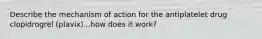Describe the mechanism of action for the antiplatelet drug clopidrogrel (plavix)...how does it work?