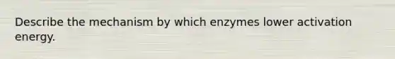 Describe the mechanism by which enzymes lower activation energy.