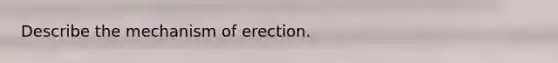 Describe the mechanism of erection.