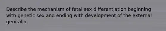 Describe the mechanism of fetal sex differentiation beginning with genetic sex and ending with development of the external genitalia.