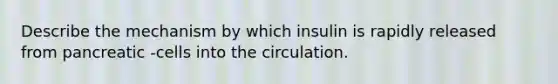 Describe the mechanism by which insulin is rapidly released from pancreatic -cells into the circulation.