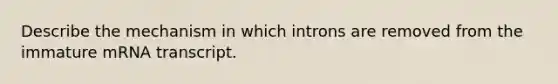 Describe the mechanism in which introns are removed from the immature mRNA transcript.